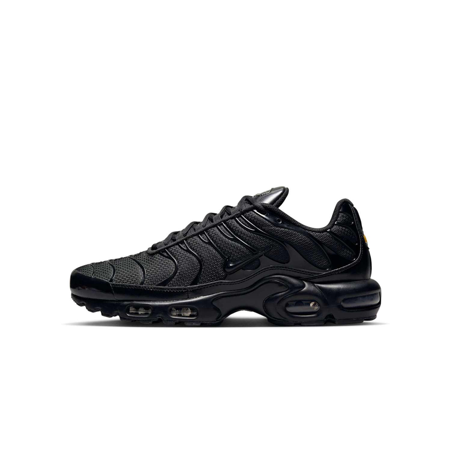 NIKE Air Max Plus 604133-050